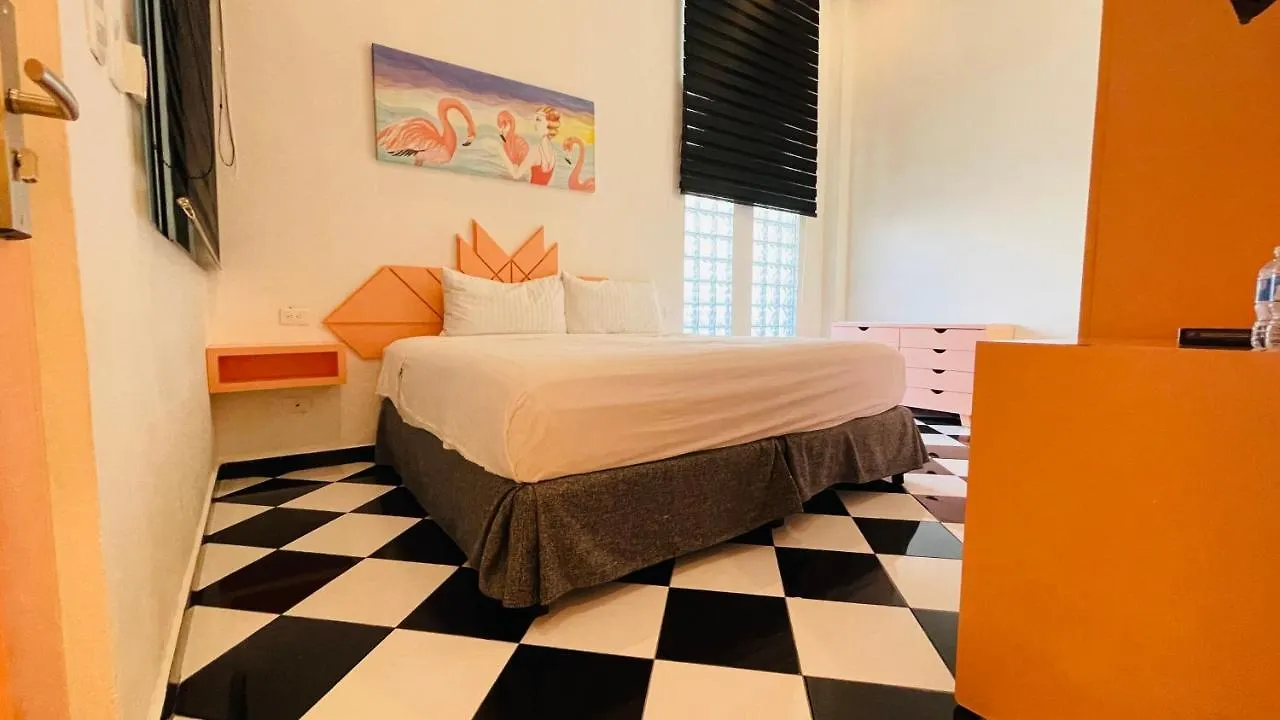 Hotel Winday بلايا ديل كارمن